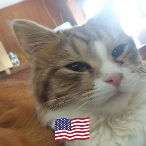 Meet your Posher, Vicky